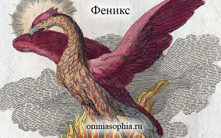 Феникс: символизм и значение.